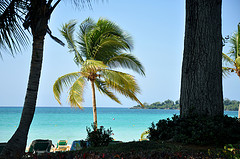 Riu Palace Tropical Bay, Negril